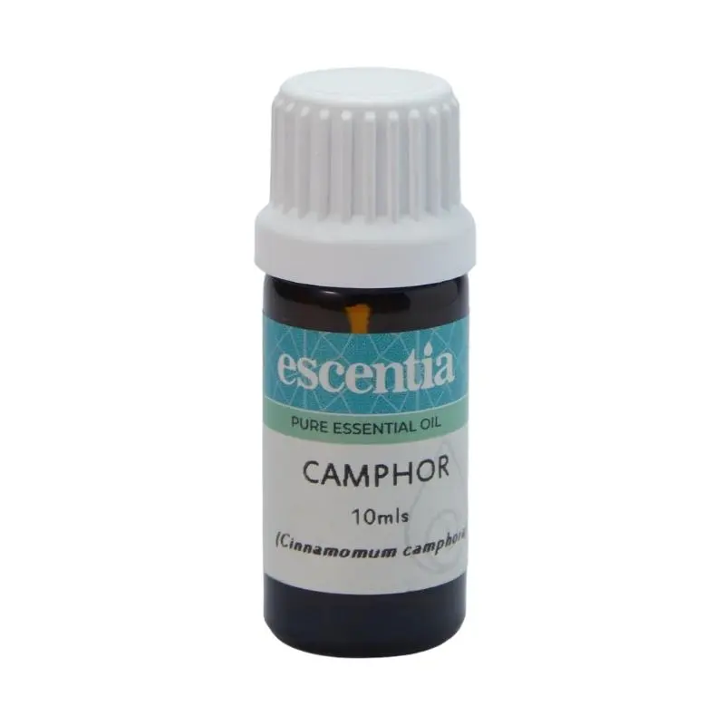 Camphor Essential oil, 10ml