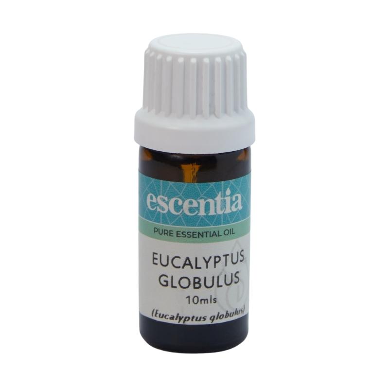 Eucalyptus Essential Oil, 10ml