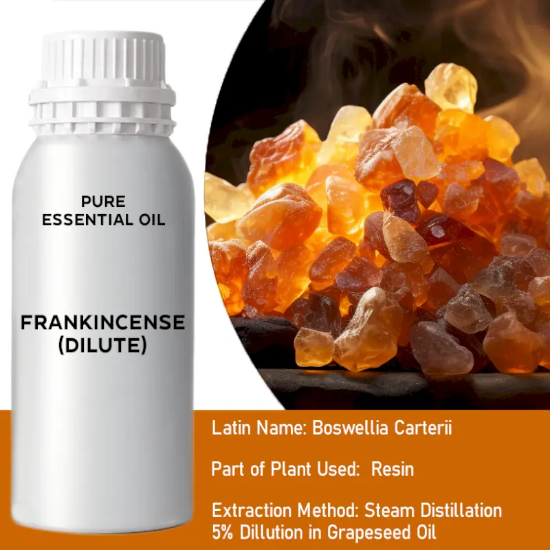 Frankincense Dilute Essential Oil, 1 litre
