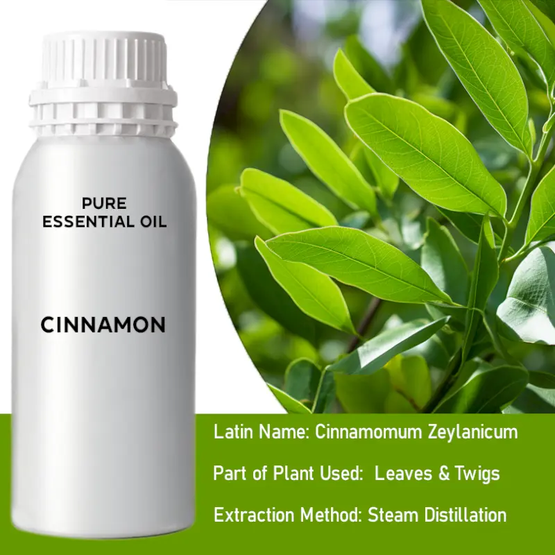 Cinnamon Leaf Bulk Essential Oil, 1 litre