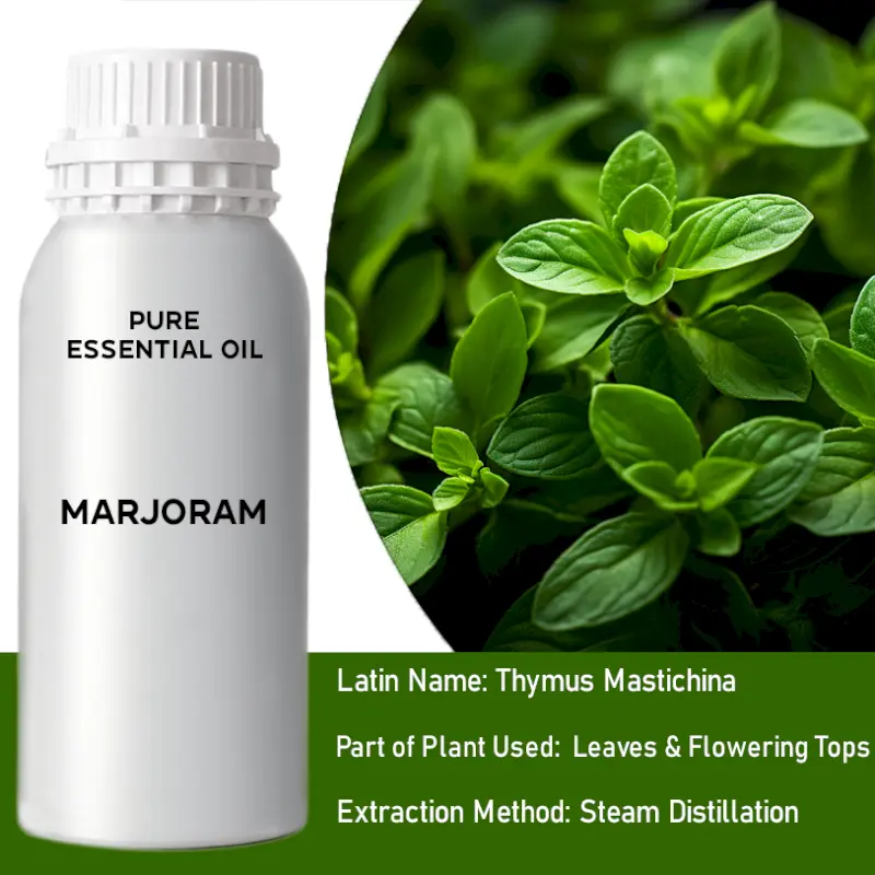 Marjoram Bulk Essential Oil, 1 Litre