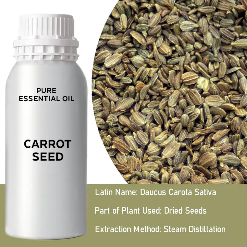 Carrot Seed Bulk Essential Oil, 1 litre
