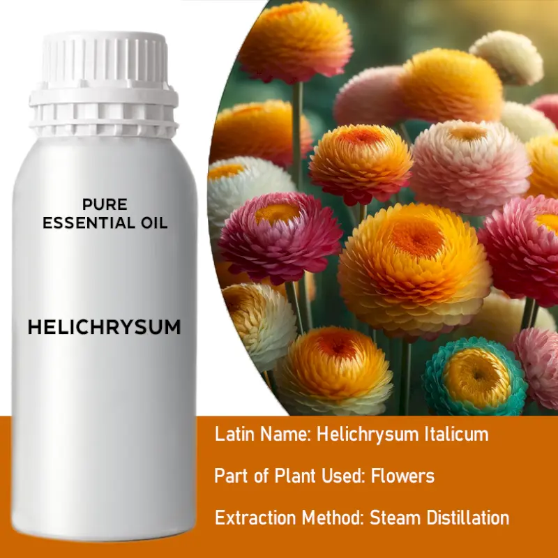 Helichrysum Bulk Essential Oil, 1 litre