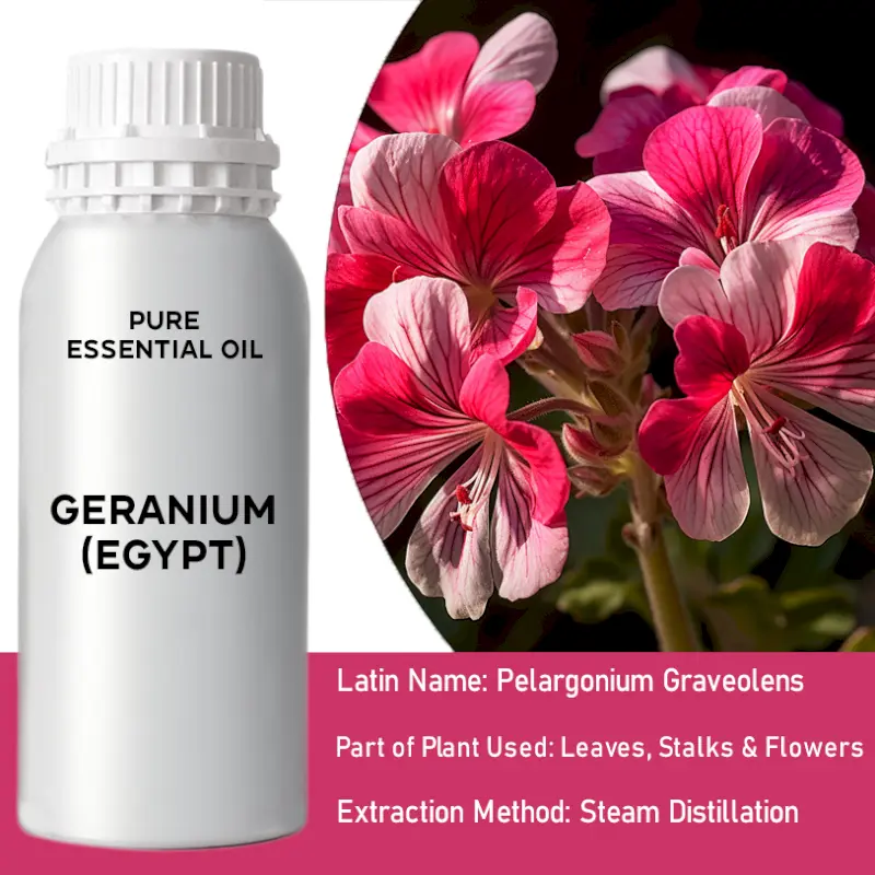 Geranium (Egypt) Bulk Essential Oil, 1 litre