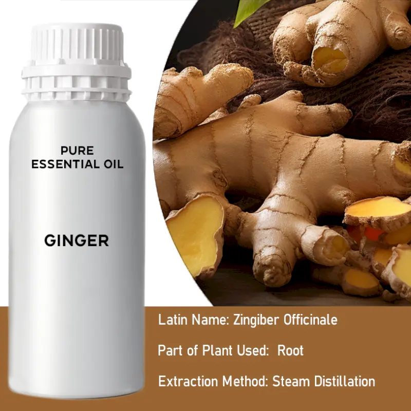 Ginger Bulk Essential Oil, 1 litre