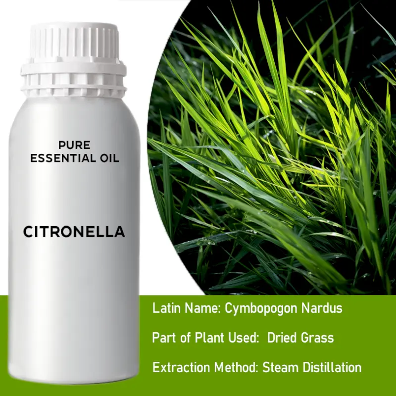 Citronella Bulk Essential Oil, 1 litre