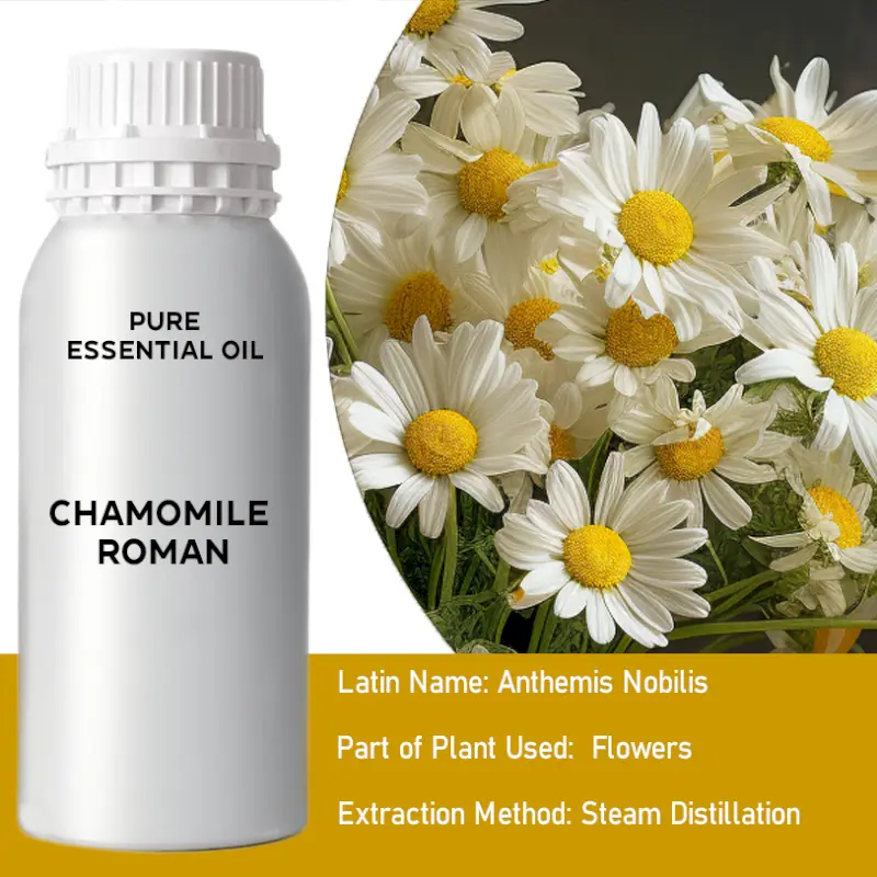 Chamomile Roman Bulk Essential Oil, 1 litre