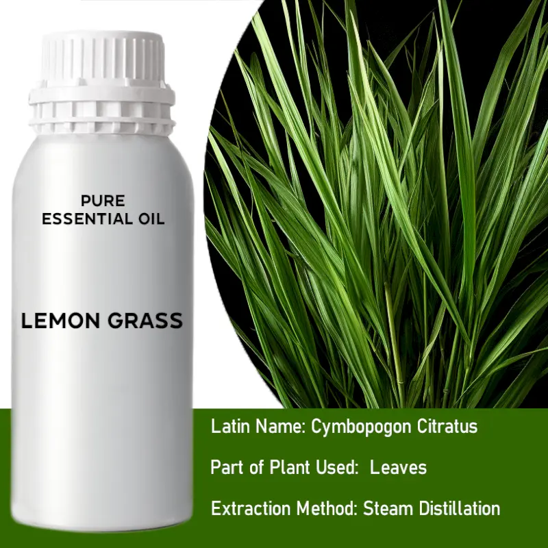 Lemongrass Bulk Essential Oil, 1 litre