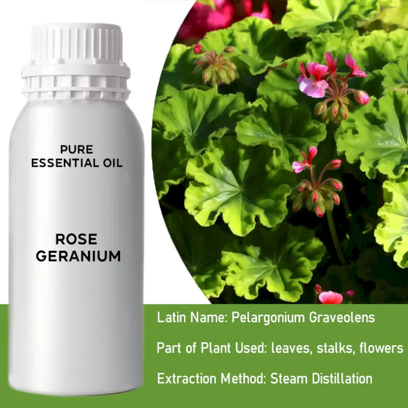 Rose Geranium Bulk Essential Oil, 1 litre