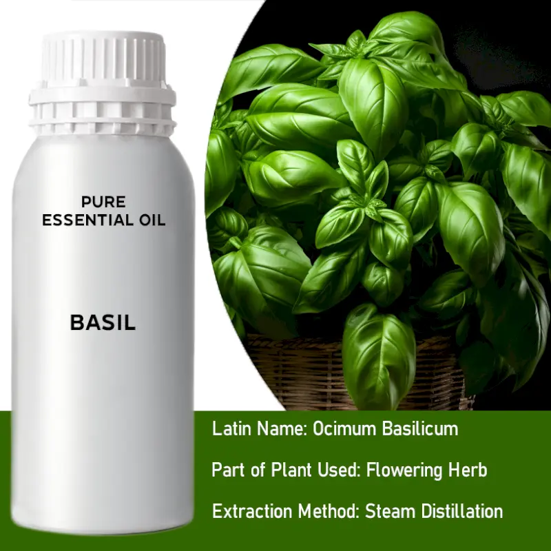 Basil Bulk Essential Oil, 1 litre