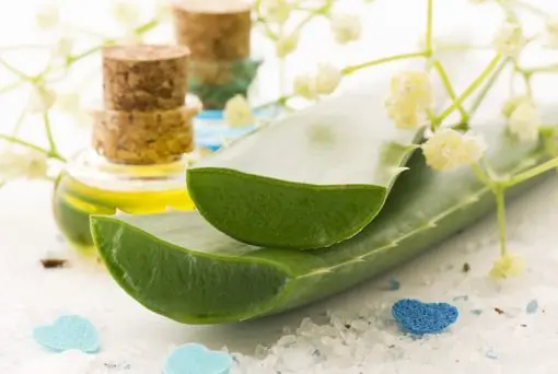 Aloe Vera Liquid Extract, 10ml