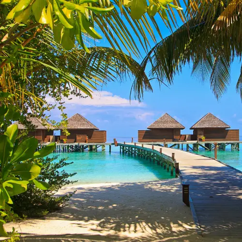 Exotica Fragrance Oil, 10ml