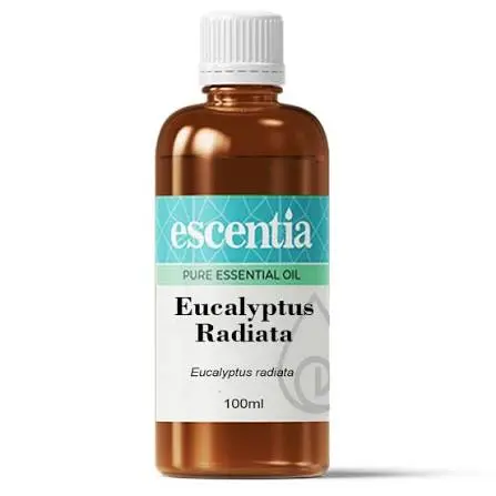 Eucalyptus Essential Oil, 100ml 