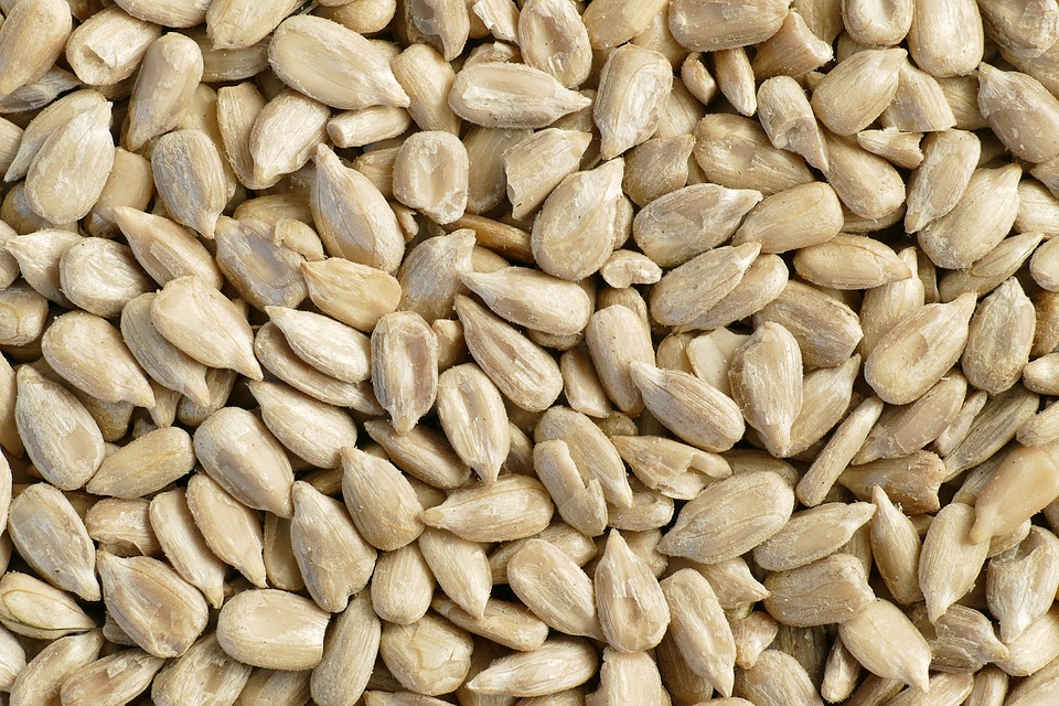 Sunflower Seeds, 100g