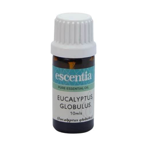 Eucalyptus Essential Oil, 10ml
