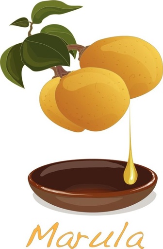 Marula Fragrance Oil, 10ml