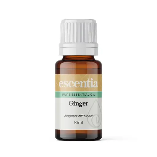 Ginger Essential Oil, 10ml