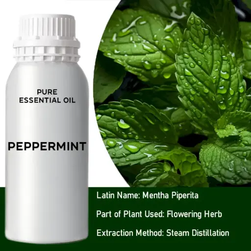 Peppermint Bulk Essential Oil, 1 litre