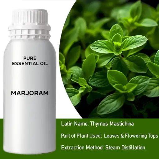 Marjoram Bulk Essential Oil, 1 Litre