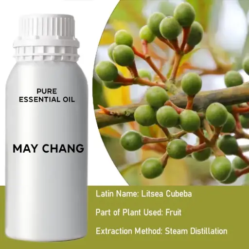 Bulk Litsea Cubeba Essential Oil, 1 litre