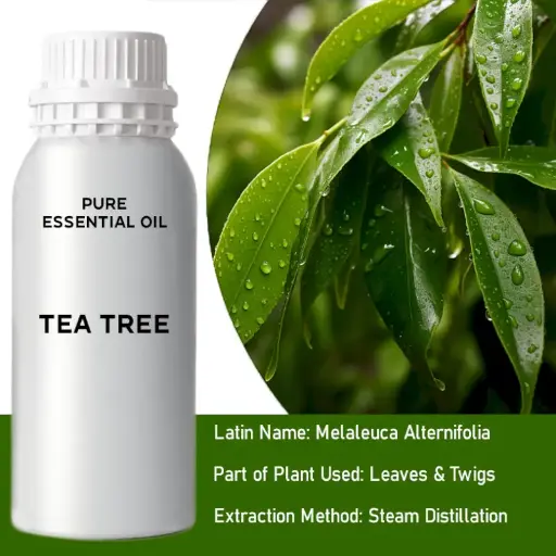 Tea Tree Bulk Essential Oil, 1 litre