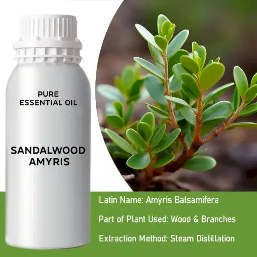 Sandalwood Bulk Essential Oil, 1 litre