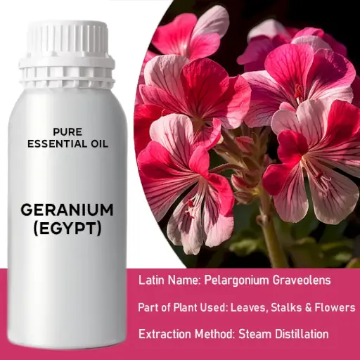 Geranium (Egypt) Bulk Essential Oil, 1 litre