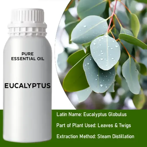 Eucalyptus Bulk Essential Oil, 1 litre