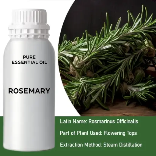 Rosemary Bulk Essential Oil, 1 litre
