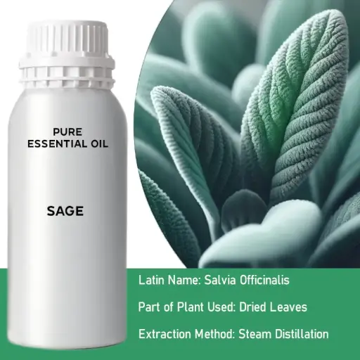 Sage Bulk Essential Oil, 1 litre