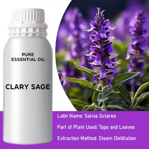 Clary Sage Bulk Essential Oil, 1 litre
