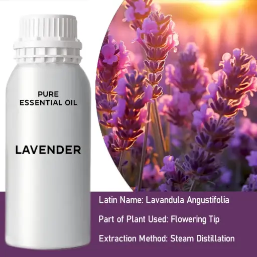 Lavender Bulk Essential Oil, 1 litre