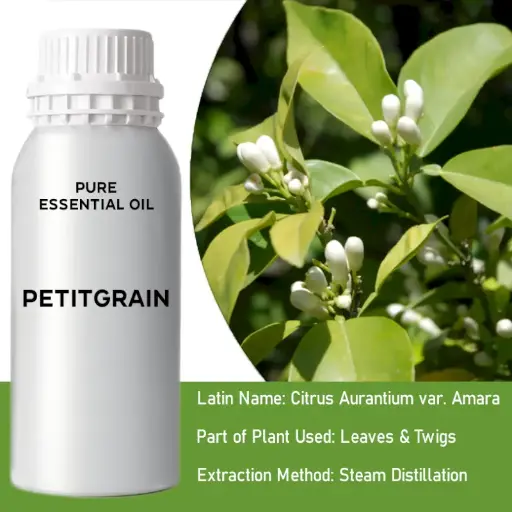 Petitgrain Bulk Essential Oil, 1 litre
