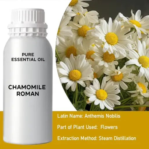 Chamomile Roman Bulk Essential Oil, 1 litre