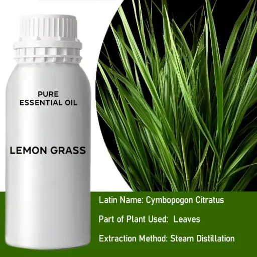 Lemongrass Bulk Essential Oil, 1 litre