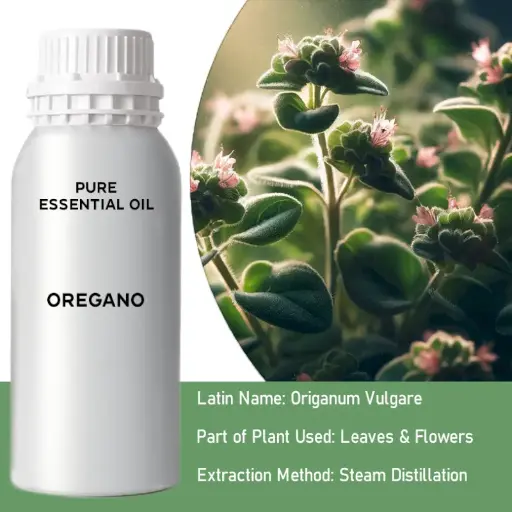 Oregano Bulk Essential Oil, 1 litre