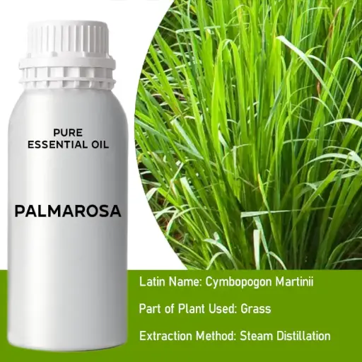 Palmarosa Bulk Essential Oil, 1 litre