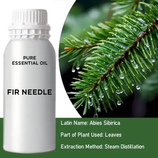 Fir Needle Bulk Essential Oil, 1 litre