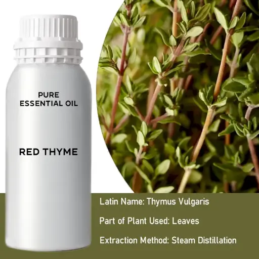 Thyme Bulk Essential Oil, 1 litre