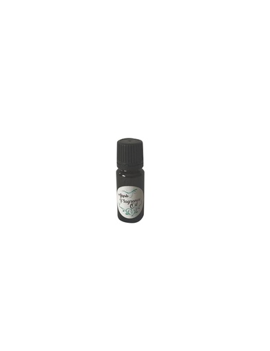 Apple Fragrance Oil, 10ml