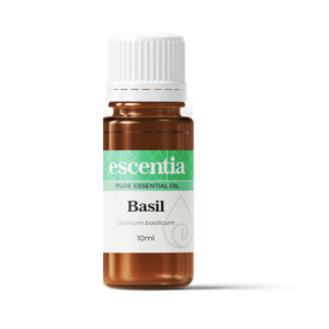 Basil Essential Oil, 10ml